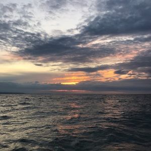 Meet your Posher, Jaida